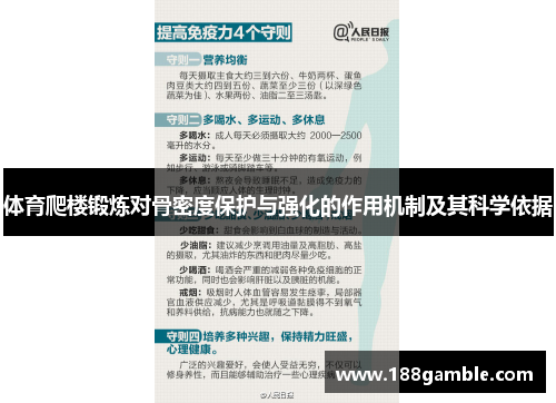 体育爬楼锻炼对骨密度保护与强化的作用机制及其科学依据